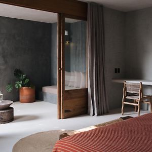 Suite con Cama King